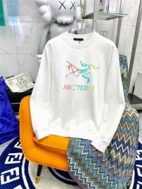 Picture of Arcteryx Sweatshirts _SKUArcteryxM-3XL12yn1724426